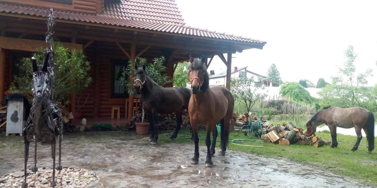Dom Argyelus - Argyelus Haz - Fesztypark Ξενοδοχείο Martovce Εξωτερικό φωτογραφία